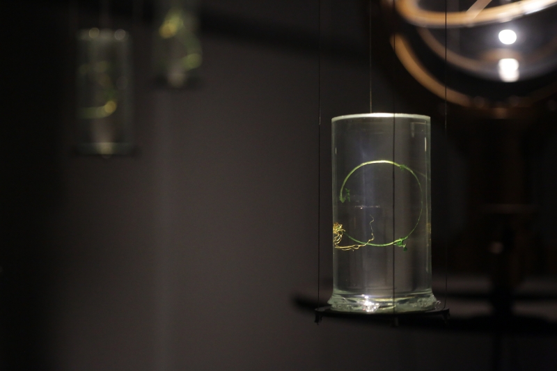 Y2K周巧其/胡悠揚作品《生物訊號_模控》(Biosignal_Cybernation)於奧地利林茲電子藝術節展示，使用自製燈光底座打亮標本組